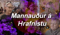 Mannauður